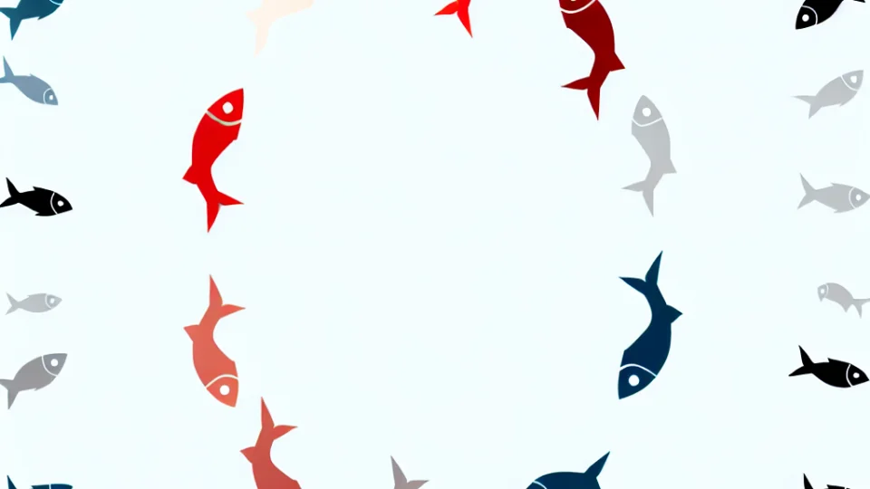 Karadeniz'de En Çok Bulunan Balık Türleri Nelerdir?